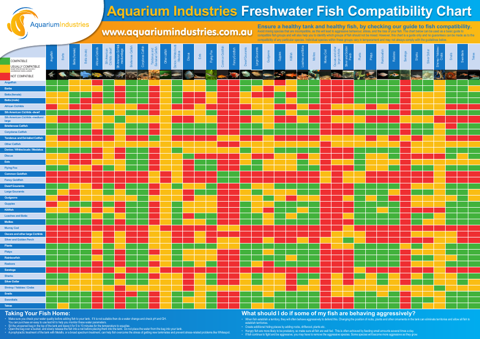 Freshwater Aquarium Fish Chart