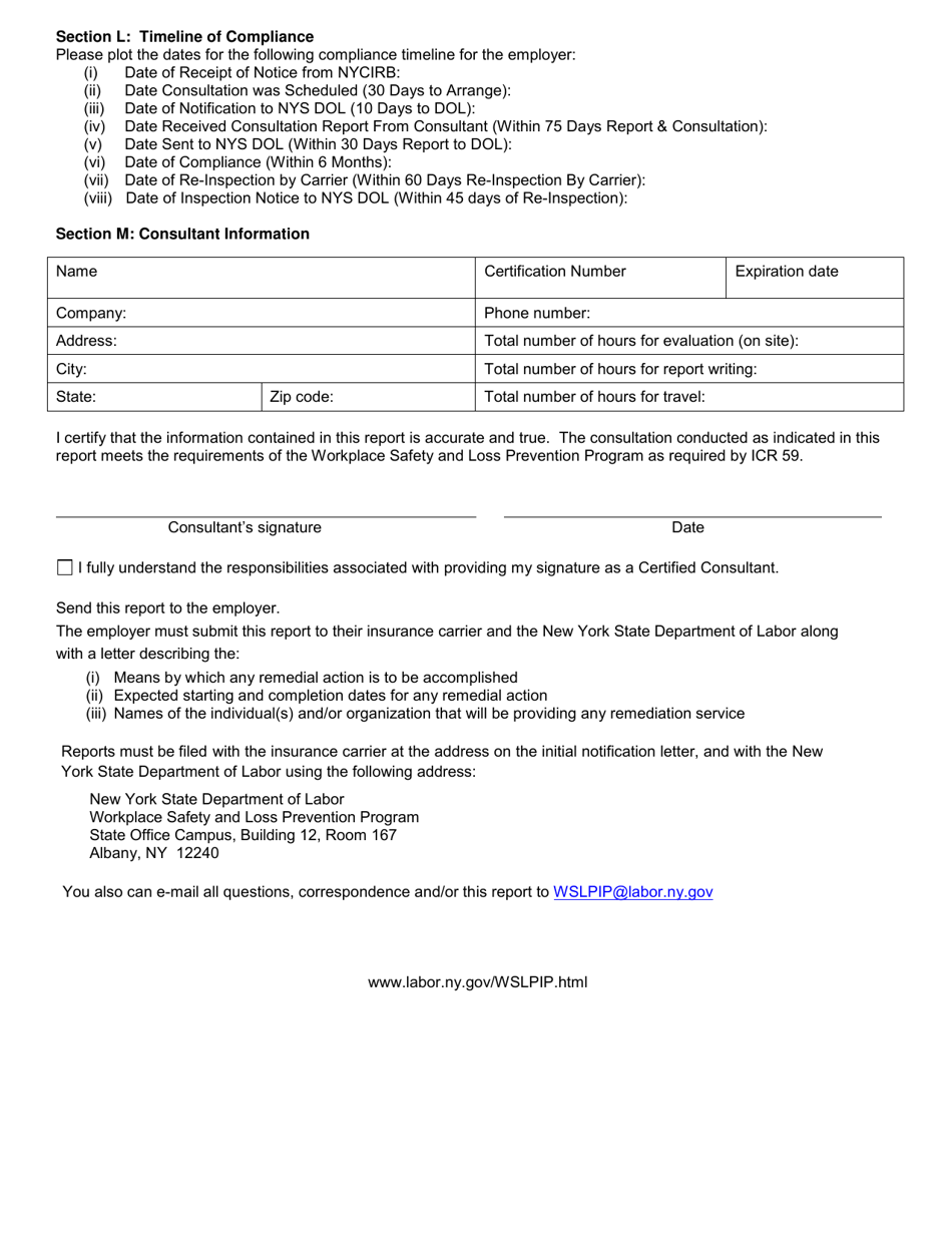 Form SH899 Mandatory Workplace Safety and Loss Prevention Program Industrial Code Rule 59 Consultant Report - New York, Page 21