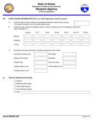 Form Hospice1001 Hospice Agency Licensure Application - Alaska, Page 6