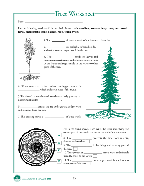 Alaska Wildlife Curriculum - Trees Worksheet - Alaska