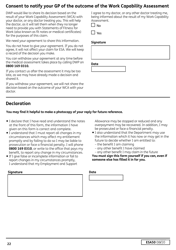 Form ESA50 Capability for Work Questionnaire - United Kingdom, Page 23
