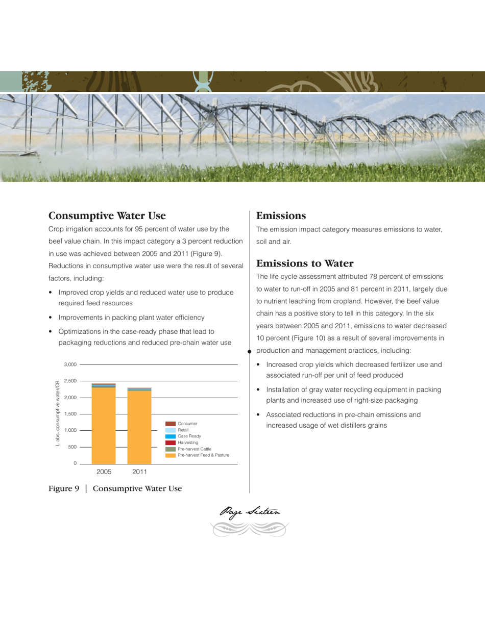 Sustainability Executive Summary - National Cattlemens Beef Association, Page 16