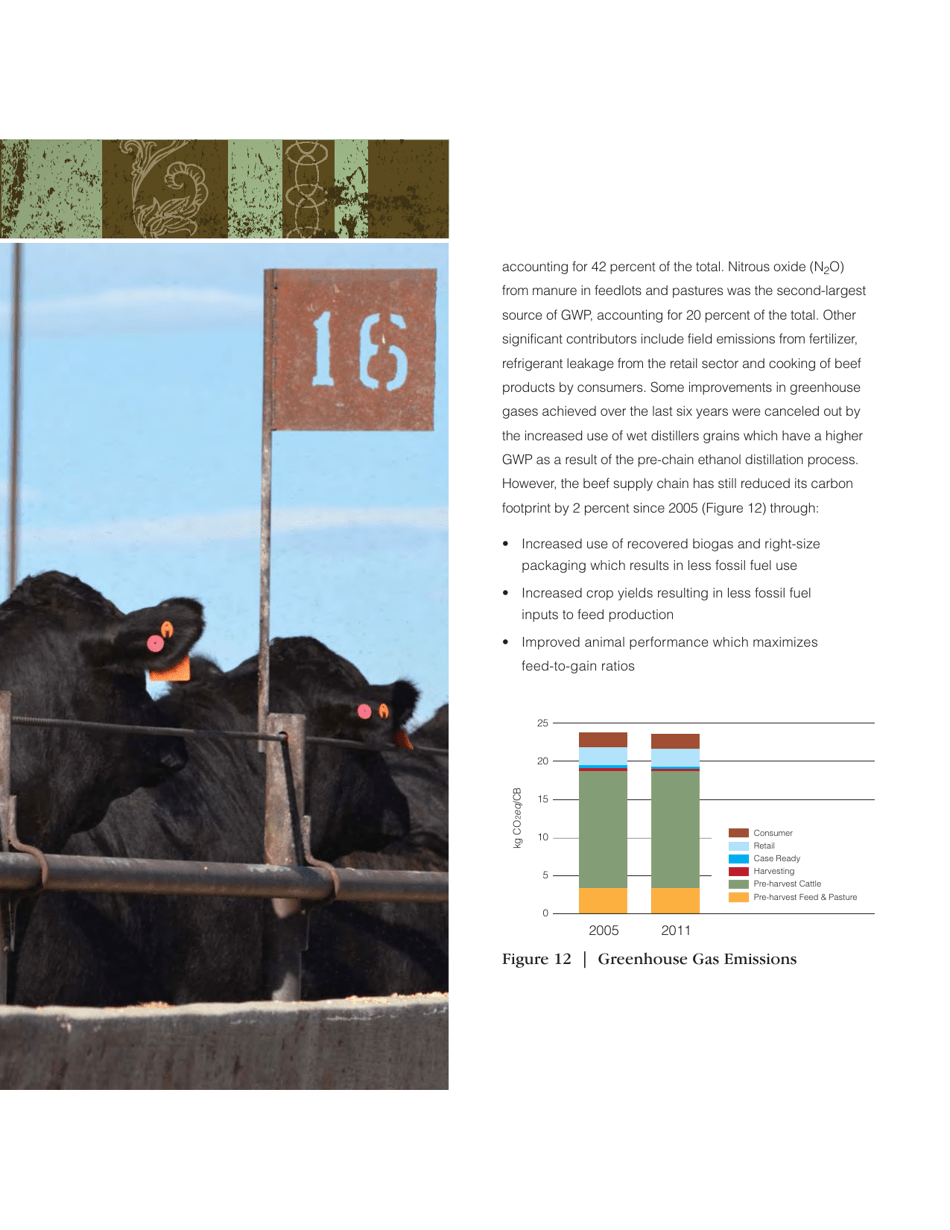 Sustainability Executive Summary - National Cattlemens Beef Association, Page 18
