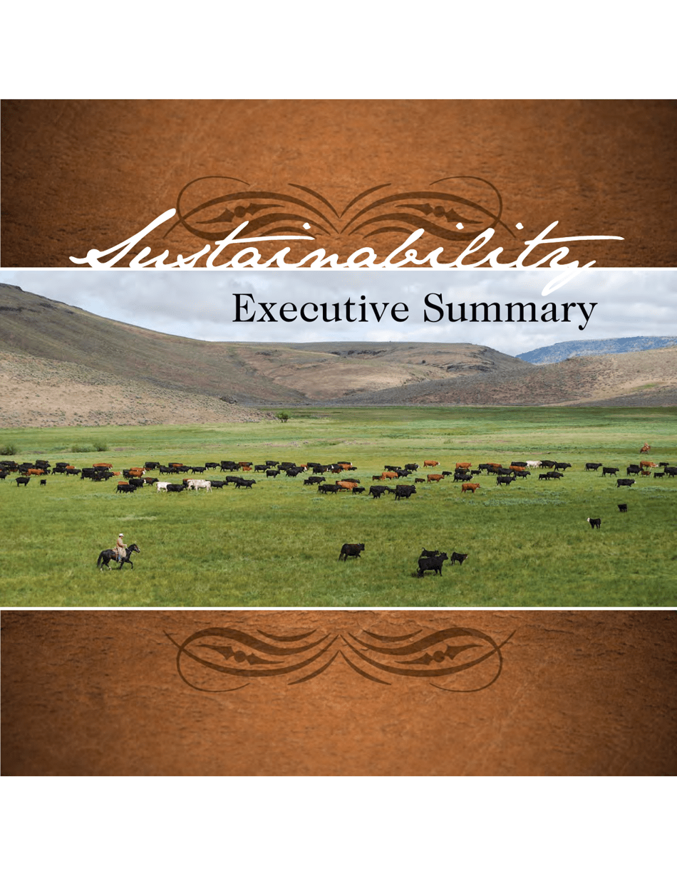 Sustainability Executive Summary Preview - National Cattlemen's Beef Association