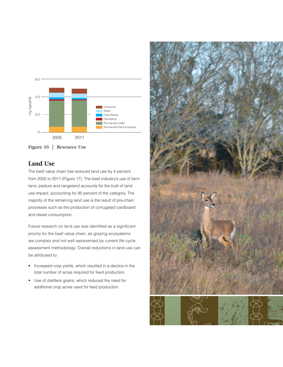 Sustainability Executive Summary - National Cattlemens Beef Association, Page 21