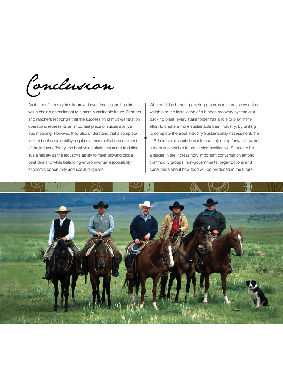 Sustainability Executive Summary - National Cattlemens Beef Association, Page 29