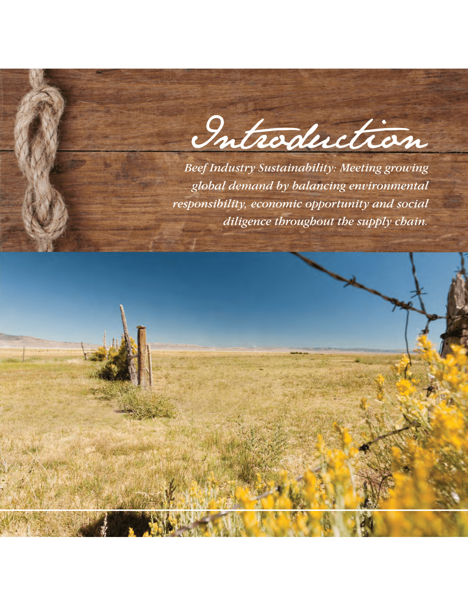 Sustainability Executive Summary - National Cattlemens Beef Association, Page 4