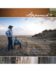 Sustainability Executive Summary - National Cattlemen&#039;s Beef Association, Page 6