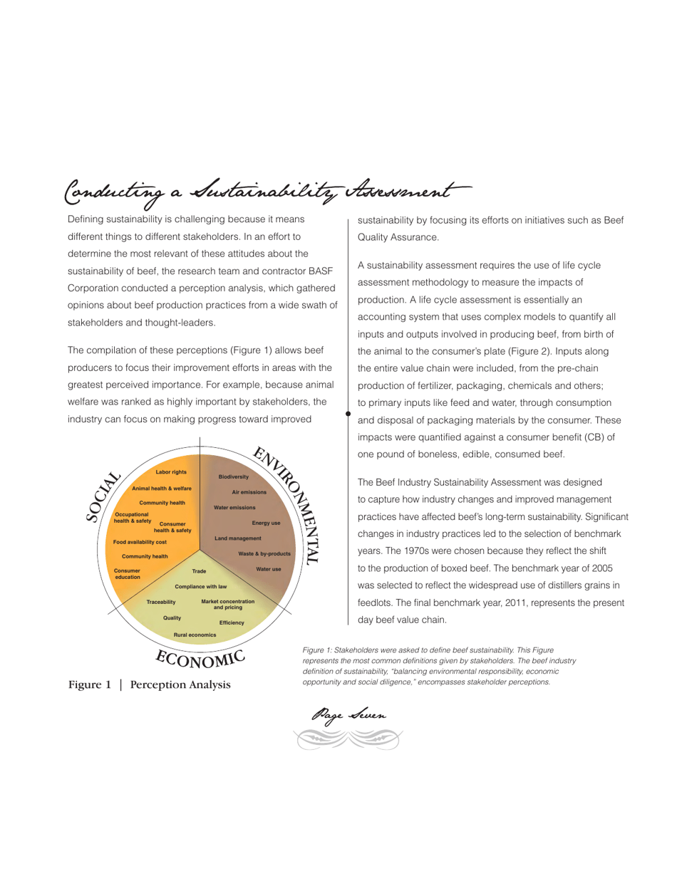 Sustainability Executive Summary - National Cattlemens Beef Association, Page 7