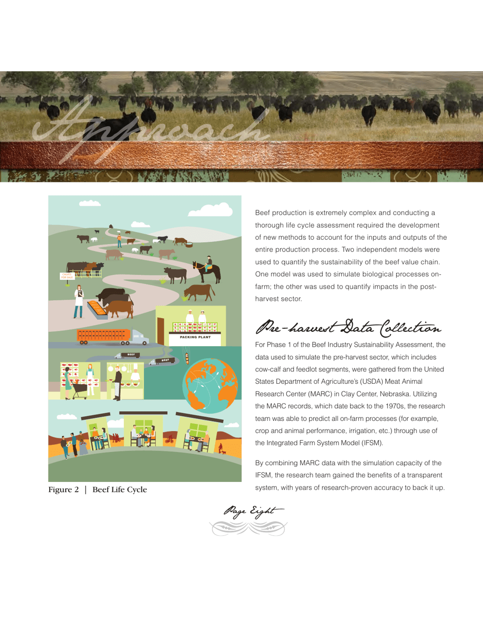 Sustainability Executive Summary - National Cattlemens Beef Association, Page 8
