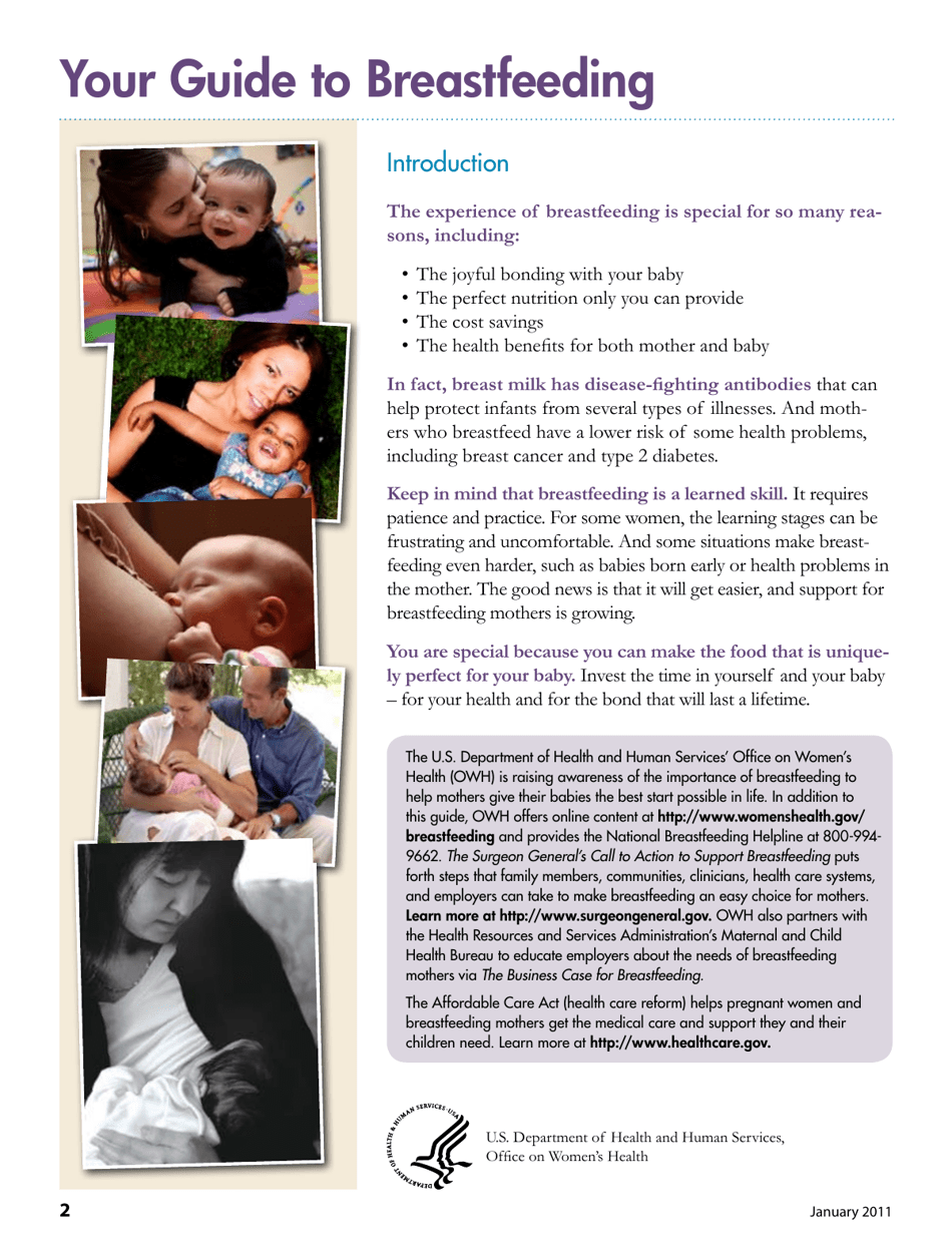 Your Guide to Breastfeeding - Fill Out, Sign Online and Download PDF ...