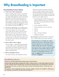 Your Guide to Breastfeeding, Page 4