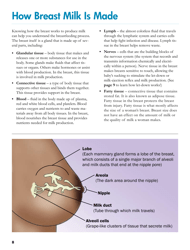 Your Guide to Breastfeeding, Page 8