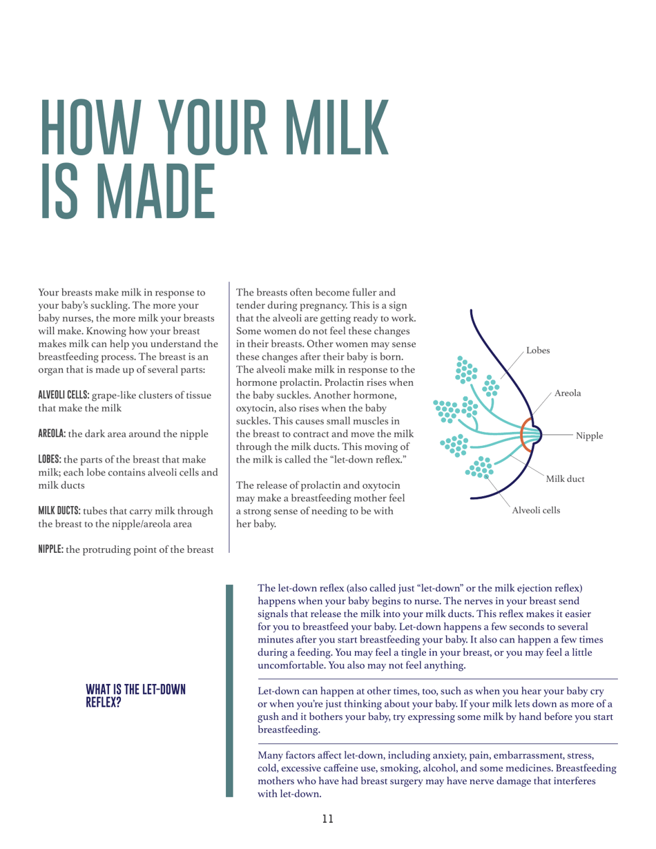 Your Guide to Breastfeeding, Page 13