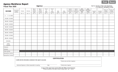 Form I164 Agency Workforce Report - Illinois