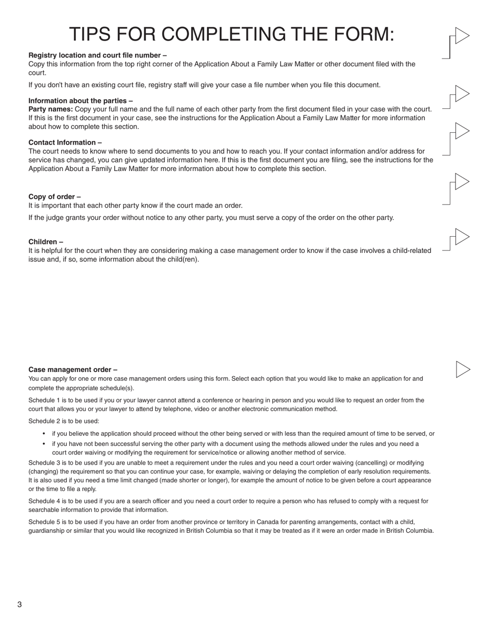 Form I (PFA718) Application for Case Management Order Without Notice or Attendance - British Columbia, Canada, Page 3