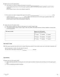 Form N (PFA723) Application for a Family Law Matter Consent Order - British Columbia, Canada, Page 14