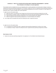 Form G (PFA716) Reply to a Counter Application - British Columbia, Canada, Page 12