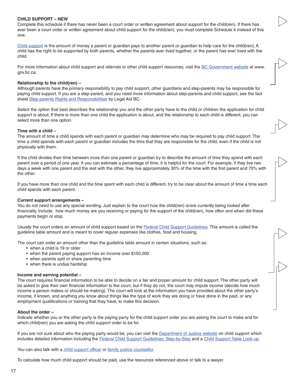 Form C (PFA712) Application About a Family Law Matter - British Columbia, Canada, Page 17