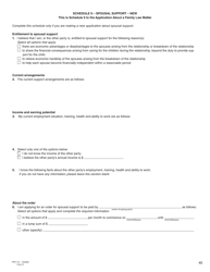 Form C (PFA712) Application About a Family Law Matter - British Columbia, Canada, Page 40