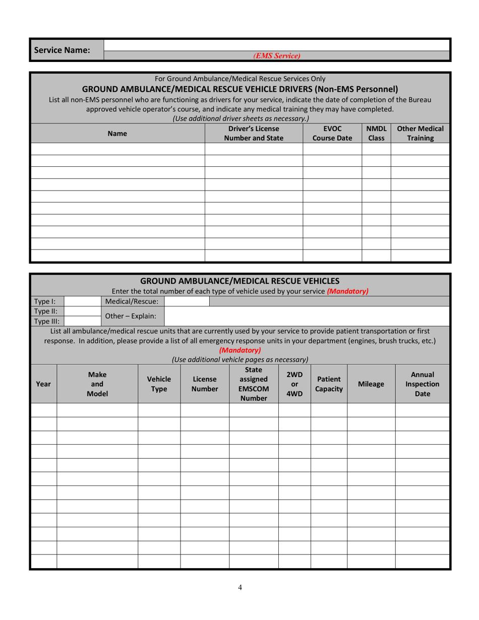 EMS Annual Service Report - New Mexico, Page 4