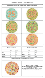 Ishihara Test for Color Blindness Chart