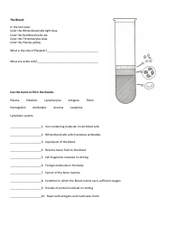 Blood Drawing and Coloring Biology Worksheet, Page 2