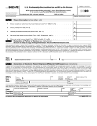 IRS Form 8453-PE U.S. Partnership Declaration for an IRS E-File Return