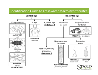 Identification Guide to Freshwater Macroinvertebrates - Stroud Water Research Center, Page 3