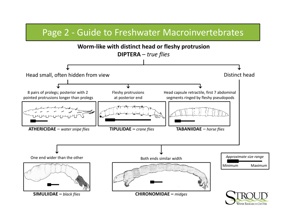 Identification Guide to Freshwater Macroinvertebrates - Stroud Water Research Center, Page 4