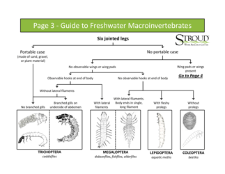 Identification Guide to Freshwater Macroinvertebrates - Stroud Water Research Center, Page 5