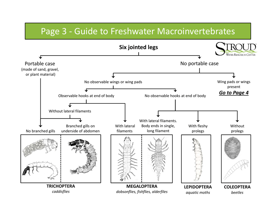 Identification Guide to Freshwater Macroinvertebrates - Stroud Water Research Center, Page 5