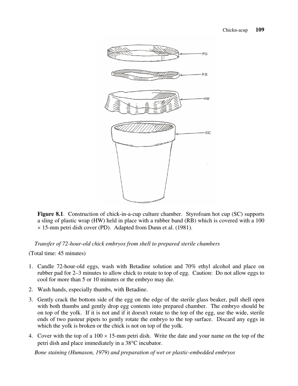 Chapter 8: Chick Embryos in Shell-Less Culture - Cynthia J. Fisher, Page 5