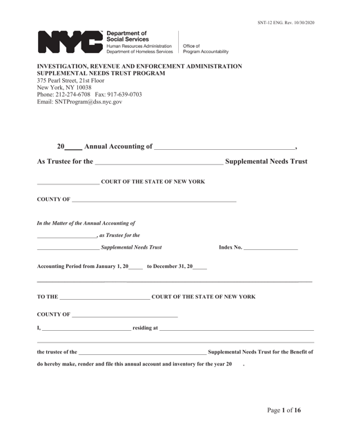 Form SNT-12  Printable Pdf