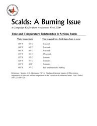 Scalds: a Burning Issue - American Burn Association, Page 4