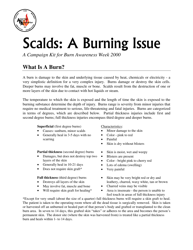 Scalds: a Burning Issue - American Burn Association, Page 6