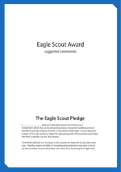Eagle Scout Award Booklet - Nesa, Page 3