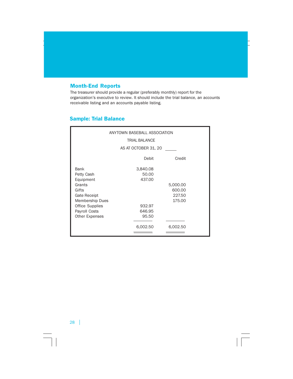 Keeping the Record Straight: Introductory Accounting for Not-For-Profit Organizations, Page 28