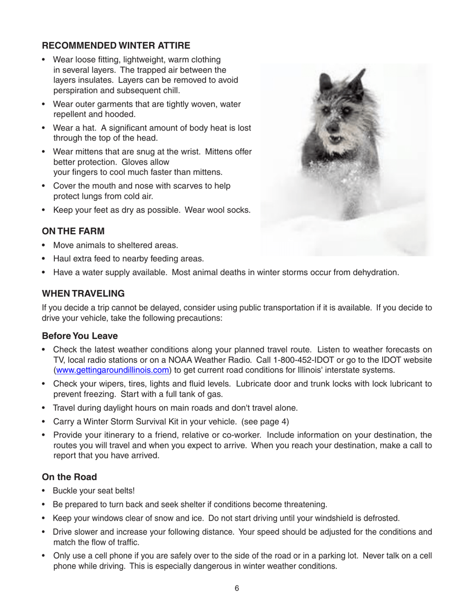 Winter Weather Preparedness Guide - Illinois, Page 7