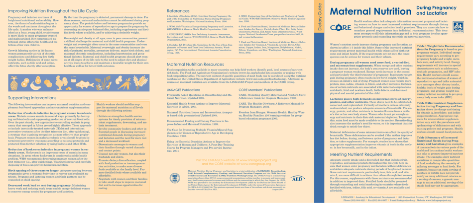 Dietary Guide: Maternal Nutrition During Pregnancy and Lactation, Page 6
