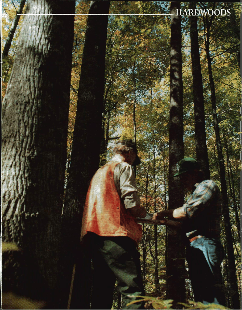 The Hardwood Handbook: an Illustrated Guide to Appalachian and Southern Lumber, Page 11