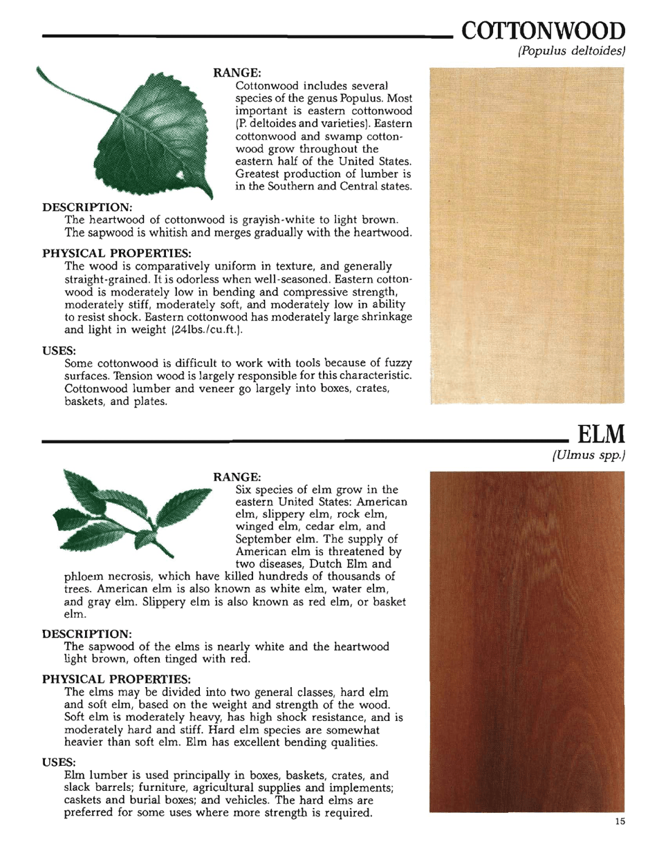 The Hardwood Handbook: an Illustrated Guide to Appalachian and Southern Lumber, Page 15