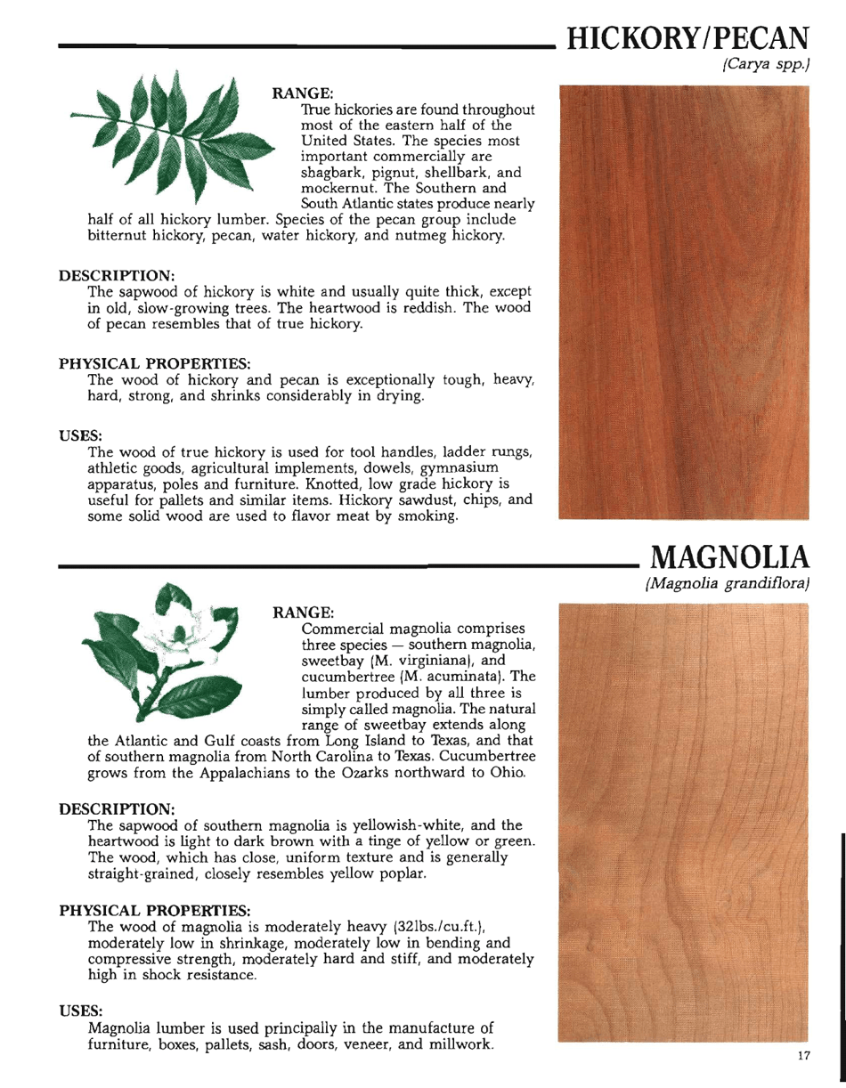 The Hardwood Handbook: an Illustrated Guide to Appalachian and Southern Lumber, Page 17