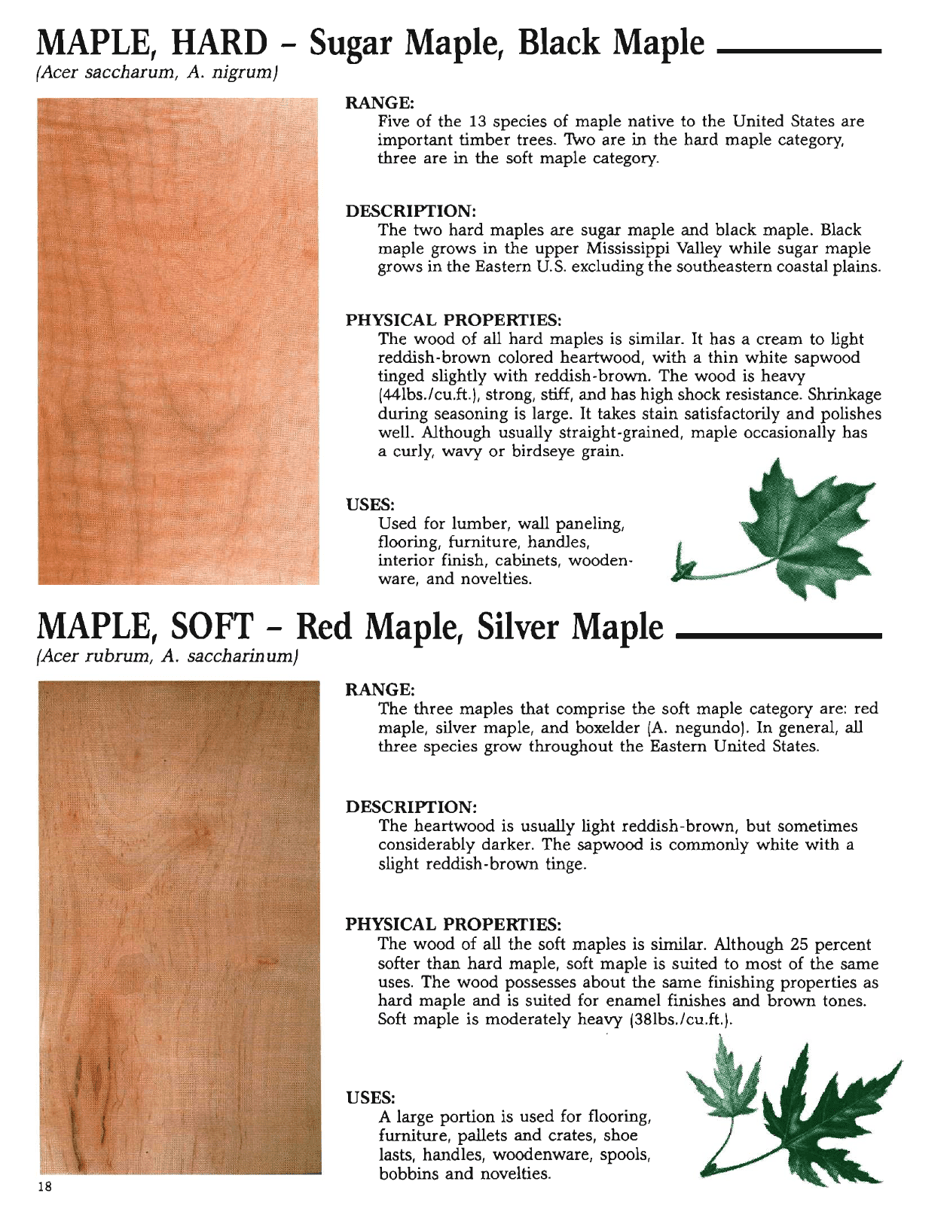 The Hardwood Handbook: an Illustrated Guide to Appalachian and Southern Lumber, Page 18