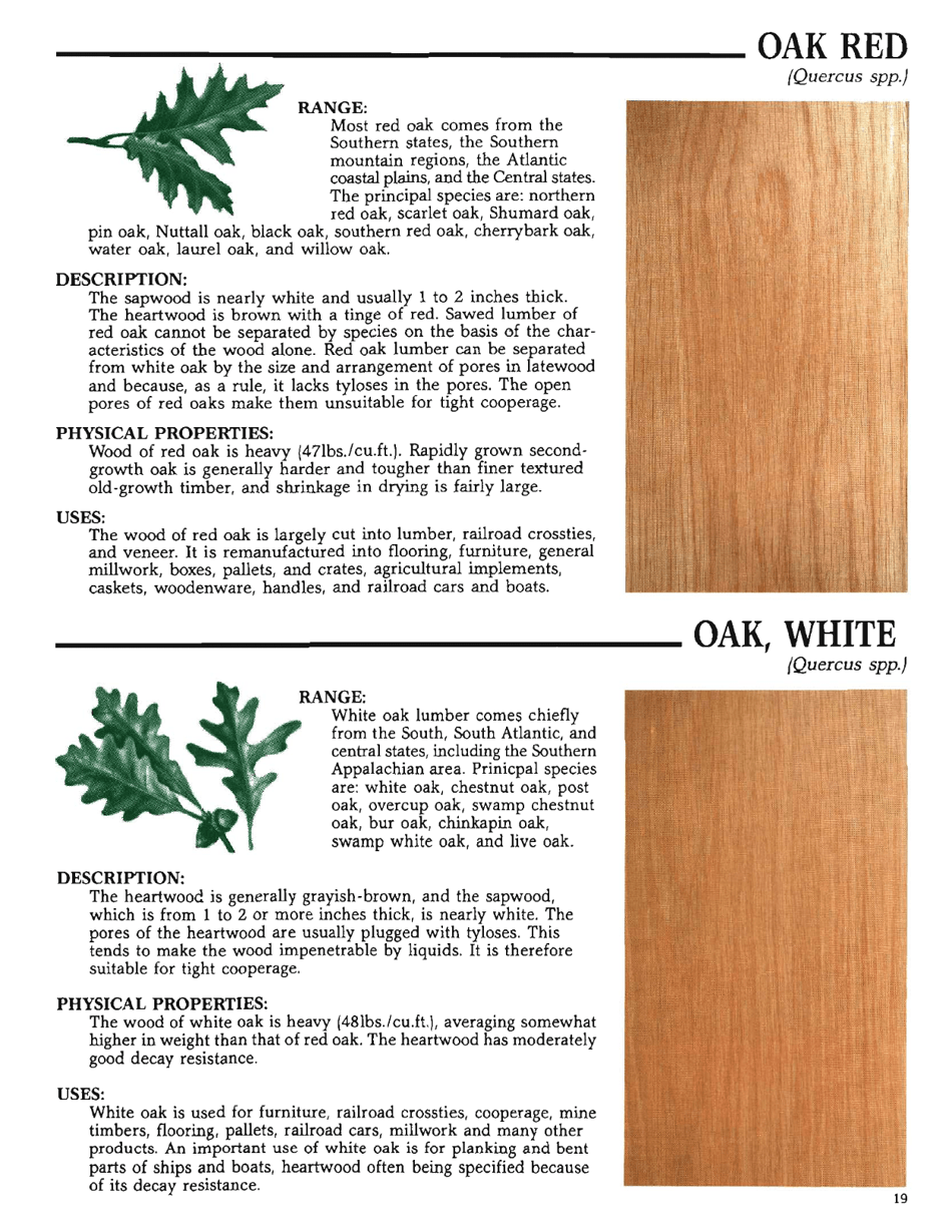 The Hardwood Handbook: an Illustrated Guide to Appalachian and Southern Lumber, Page 19
