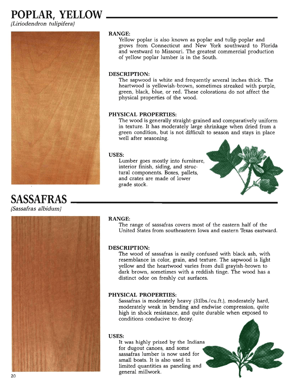 The Hardwood Handbook: an Illustrated Guide to Appalachian and Southern Lumber, Page 20