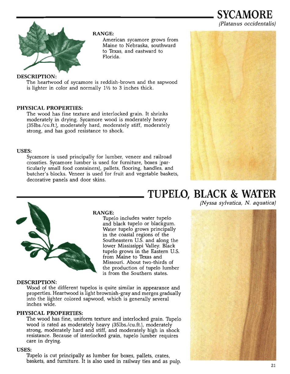 The Hardwood Handbook: an Illustrated Guide to Appalachian and Southern Lumber, Page 21