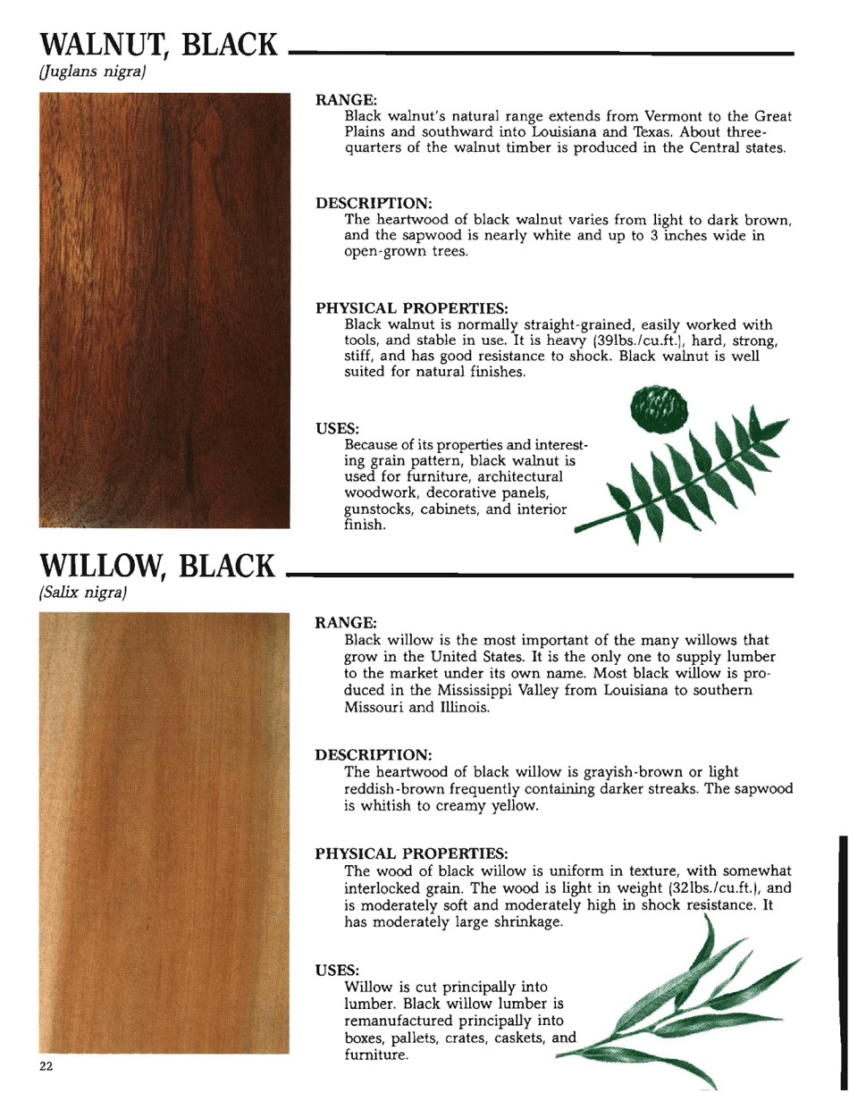 The Hardwood Handbook: an Illustrated Guide to Appalachian and Southern Lumber, Page 22