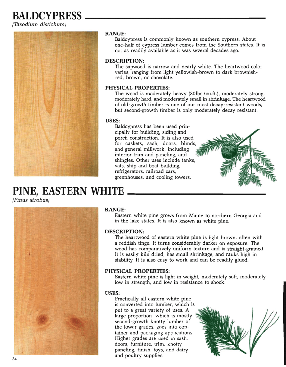 The Hardwood Handbook: an Illustrated Guide to Appalachian and Southern Lumber, Page 24