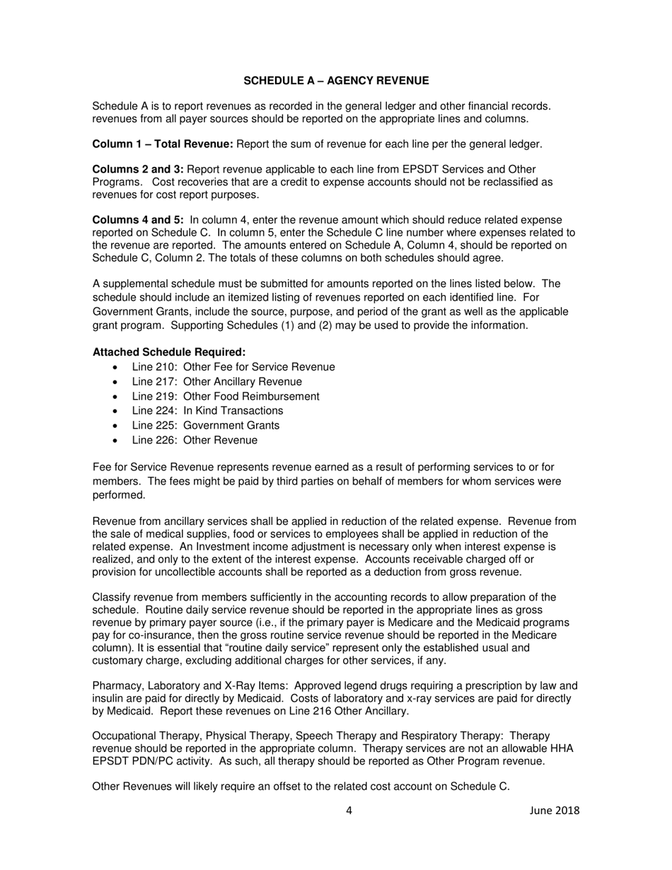 Instructions for Home Health Agency Early and Periodic Screening, Diagnostic and Treatment Private Duty Nursing / Personal Care Services Financial and Statistical Report - Iowa, Page 4